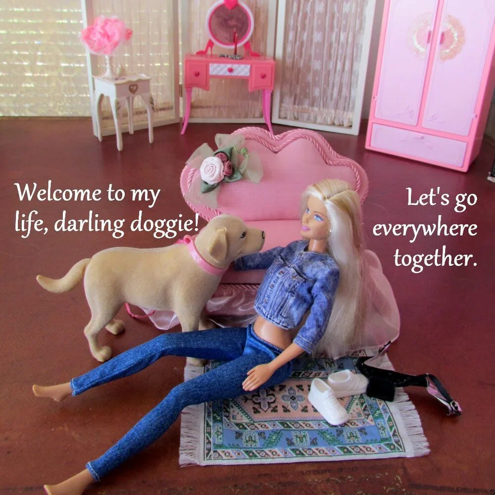 BARBIE + DOG, ARTICULATED DOLL w CLOTHES; SEE THEIR SWEET STORY!